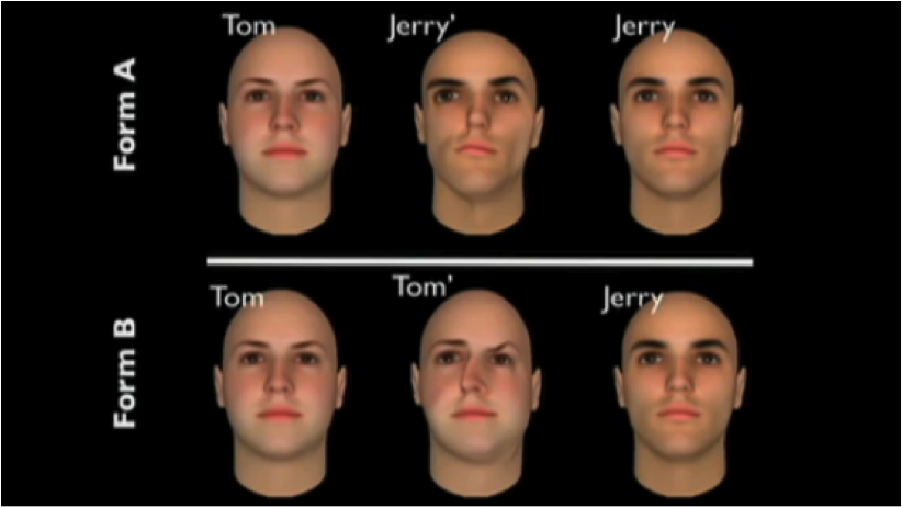 wiebe-tom-jerry-group