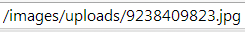 Image showing the file path of an image on a sample website