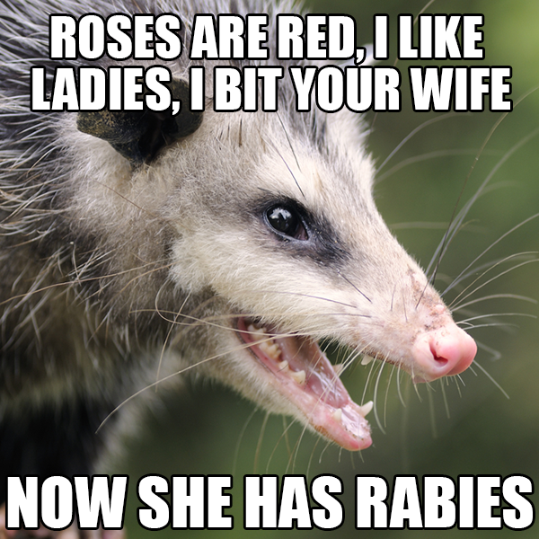 Now she has rabies