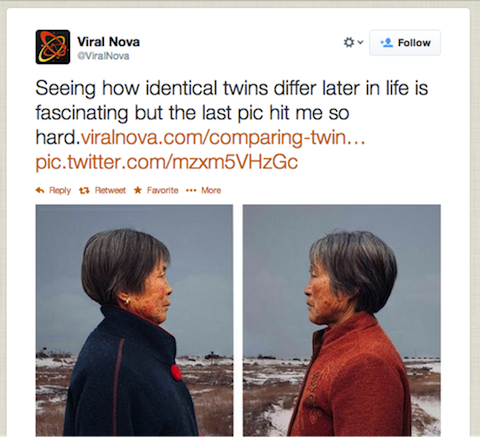 viral nova twitter viral nova twitter